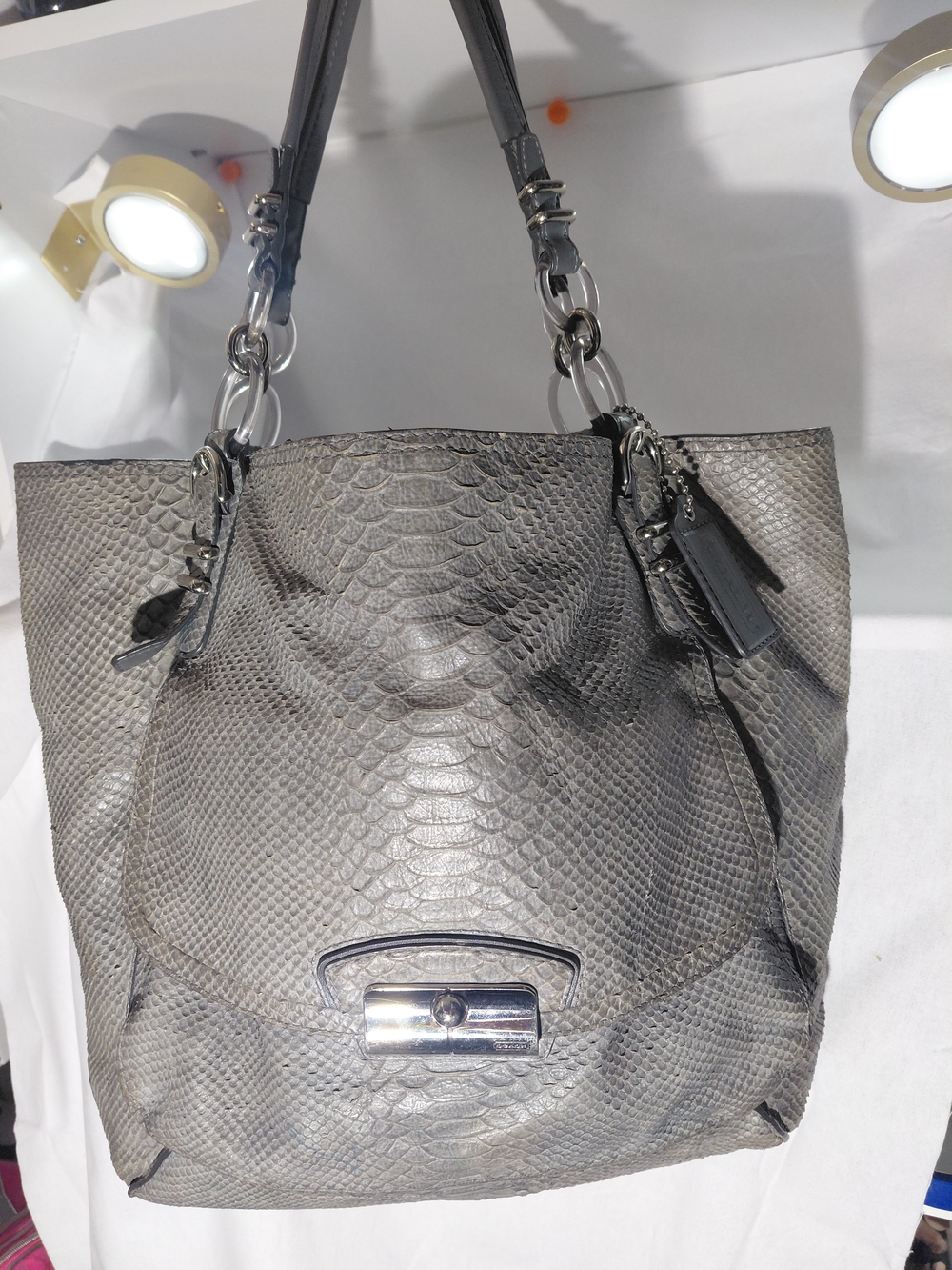 Coach Kristin Pinnacle Python Embossed Leather Tote Bag